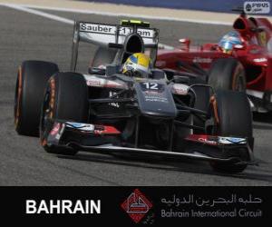 пазл Эстебан Гутьеррес - Sauber - 2013 Бахрейн международной цепи